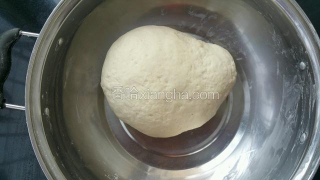 面粉倒进盆里加少许盐适量温水揉成面团饧30至40分钟。（面团不要太硬）