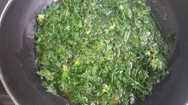 荠菜洗净焯水。