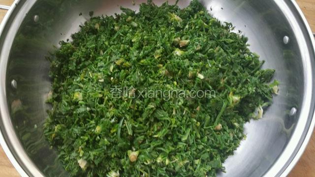 荠菜切碎装盆。（不用切的太细）
