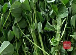 清炒苜蓿的做法图解1