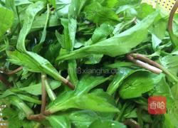 素炒马兰的做法图解1