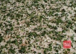 烫面卷卷的做法图解5