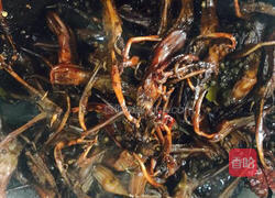 自制周黑鸭鸭舌 还原度100%的做法图解5