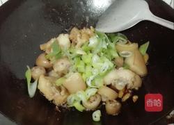 姜葱焖猪尾巴的做法图解5