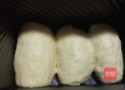 吐司面包的做法图解6