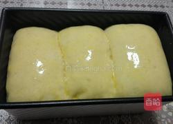 吐司面包的做法图解7