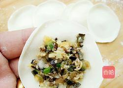 茄子鸡蛋水饺的做法图解16