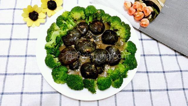 来个正面