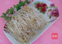 自制豆芽的做法图解6