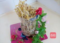 自制豆芽的做法图解5