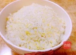 黄焖鸡米饭的做法图解11