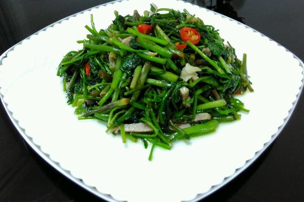 野芹菜的做法大全