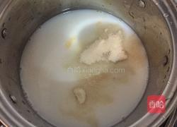 木瓜椰汁冻的做法图解4