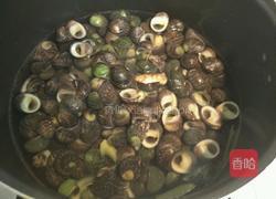 白灼青螺的做法图解6
