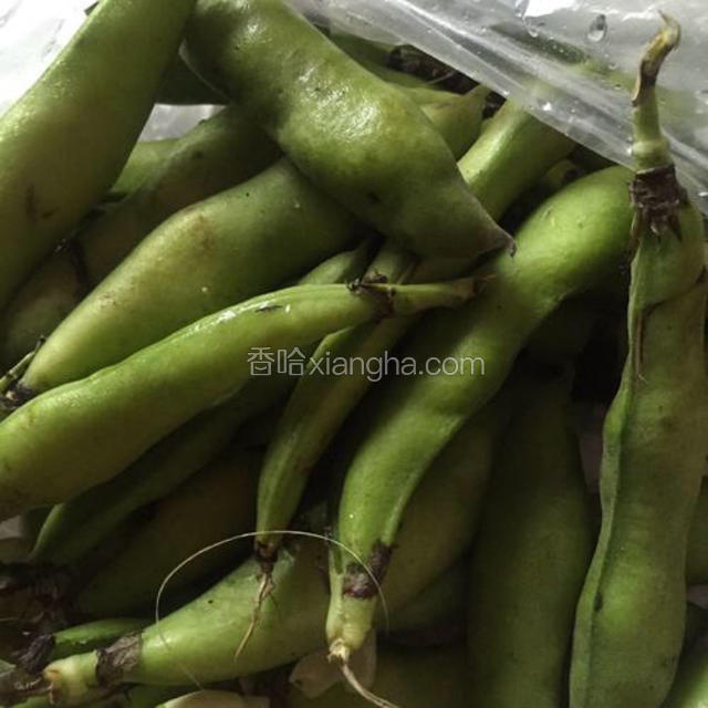 蚕豆适量备用