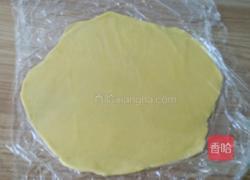 小动物曲奇饼干的做法图解8