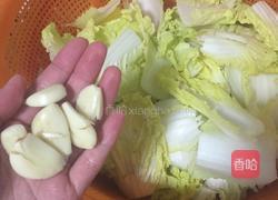 蒜炒娃娃菜的做法图解1