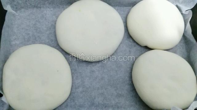 包了几个  先拿去煎了