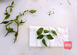 脆香九层塔的做法图解1