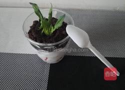 草莓酸奶盆栽的做法图解8