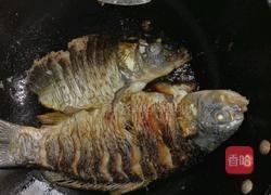 西红柿炖鲤鱼的做法图解2