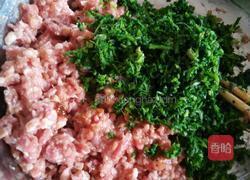 绿色荠菜饺子的做法图解3