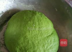 绿色荠菜饺子的做法图解4