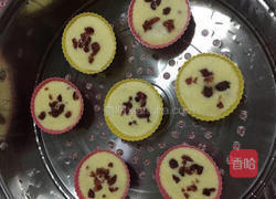 蔓越莓蒸蛋糕(完整版)的做法图解14