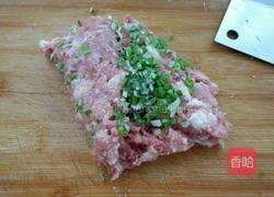 大白菜猪肉蒸饺的做法图解1