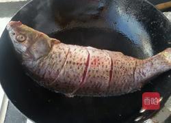 红酒蘑菇炖鲤鱼的做法图解3