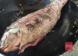 红酒蘑菇炖鲤鱼的做法图解4