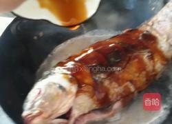 红酒蘑菇炖鲤鱼的做法图解6