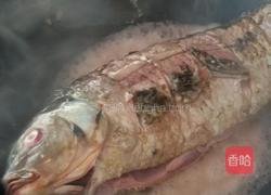 红酒蘑菇炖鲤鱼的做法图解7