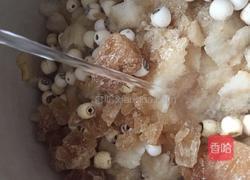 银耳莲子羹的做法图解8