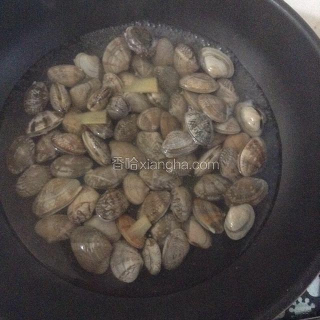 锅中注入清水，加适量料酒和生姜烧沸，放入花蛤至微微开口捞出。