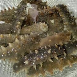 海参泡发方法的做法[图]
