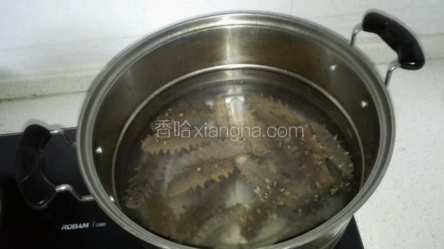 2.将海参放入无油的凉水锅中，慢火煮约20分钟。煮海参时，保持水不要沸腾。