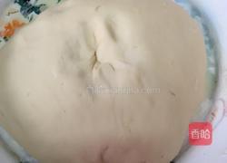 包子的做法图解2