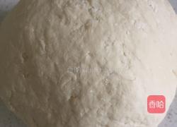 菜鸟如何用酵母发面团的做法图解5