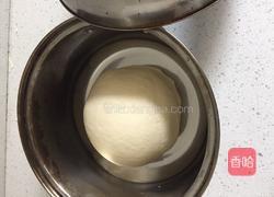 菜鸟如何用酵母发面团的做法图解7