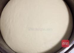 菜鸟如何用酵母发面团的做法图解9