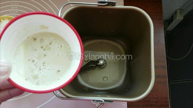 把温水和化开酵母放入面包捅