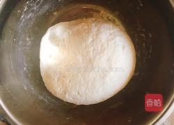 小白菜猪肉锅贴的做法图解6