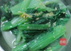 姜汁芥菜的做法图解4