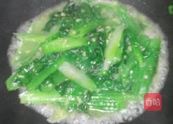 姜汁芥菜的做法图解3
