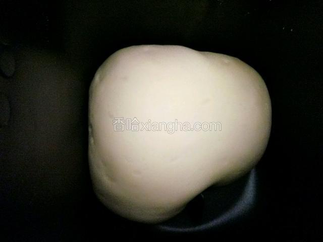 直接放在面包机中发酵至2-2.5倍大。（或者放冰箱冷藏发酵18个小时，如果选择冷藏发酵最好头天做好发酵过夜第二天再做面包）