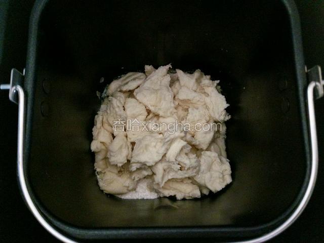 将发酵好的中种撕成小块加入。