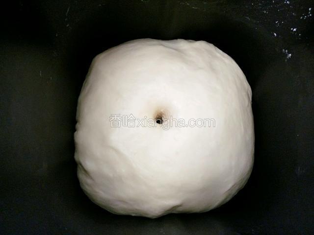 发酵至原来的2倍大，手指沾水探入不回缩即发酵完成。