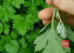 蒿子粑的做法图解1