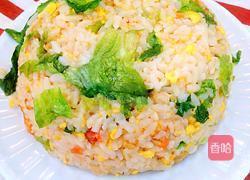 西红柿鸡蛋炒饭的做法图解12